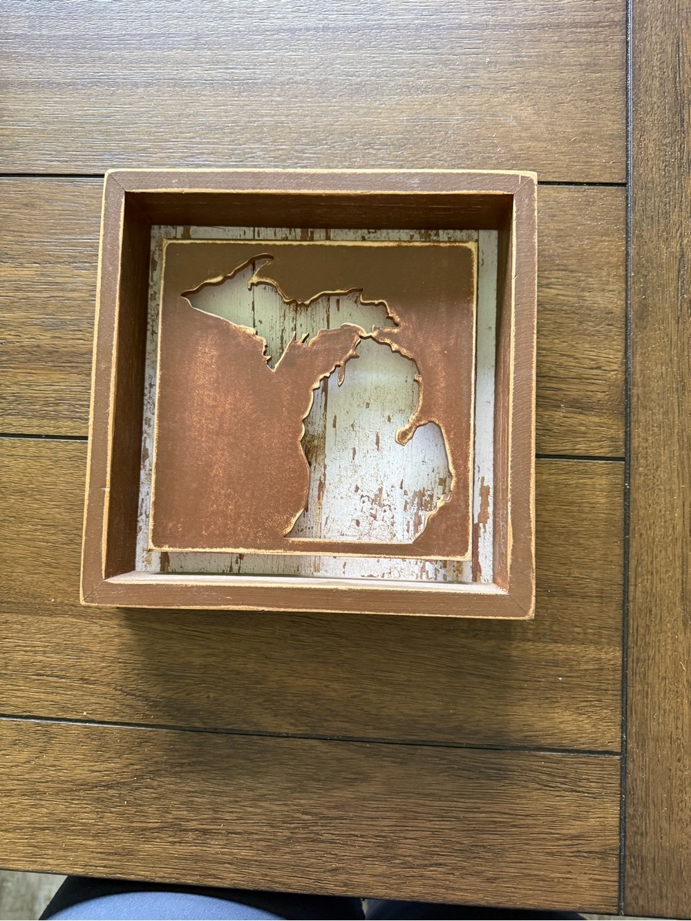 Rustic Michigan Cutout Decorative Tray - Brown